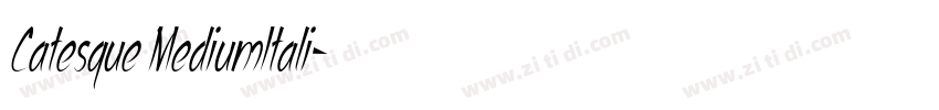 Catesque MediumItali字体转换 Catesque MediumItali字体转换